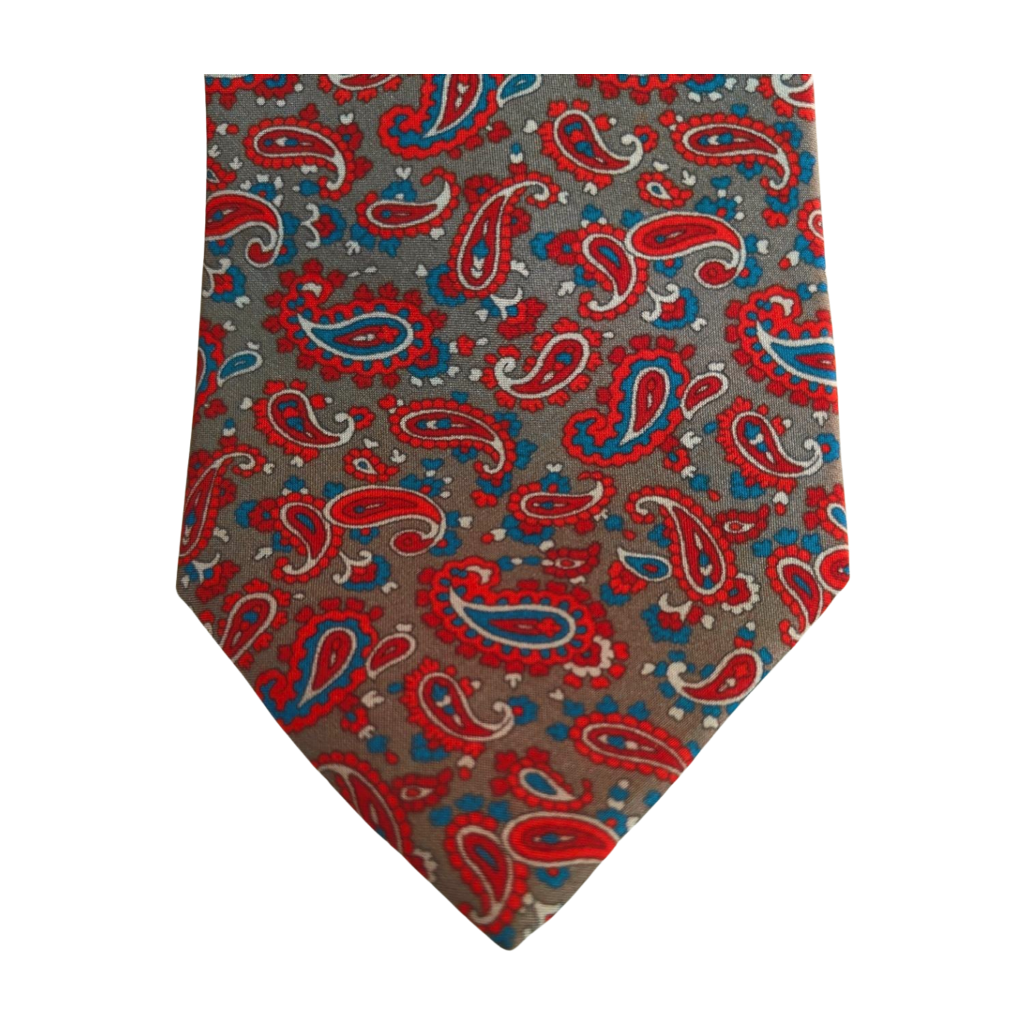 Pristyn Printed Silk Tie
