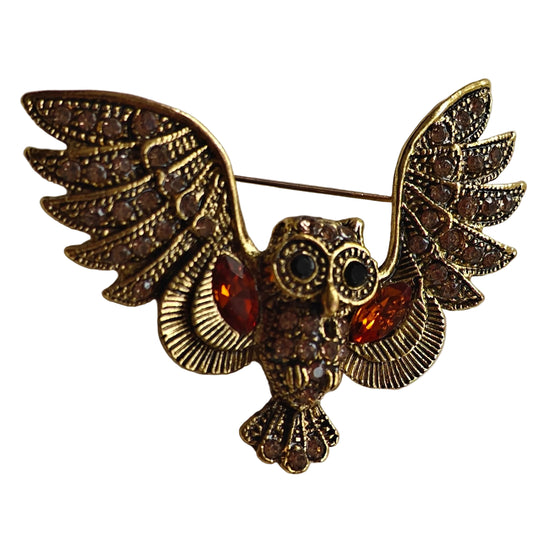 Wise Owl Unisex Brooch