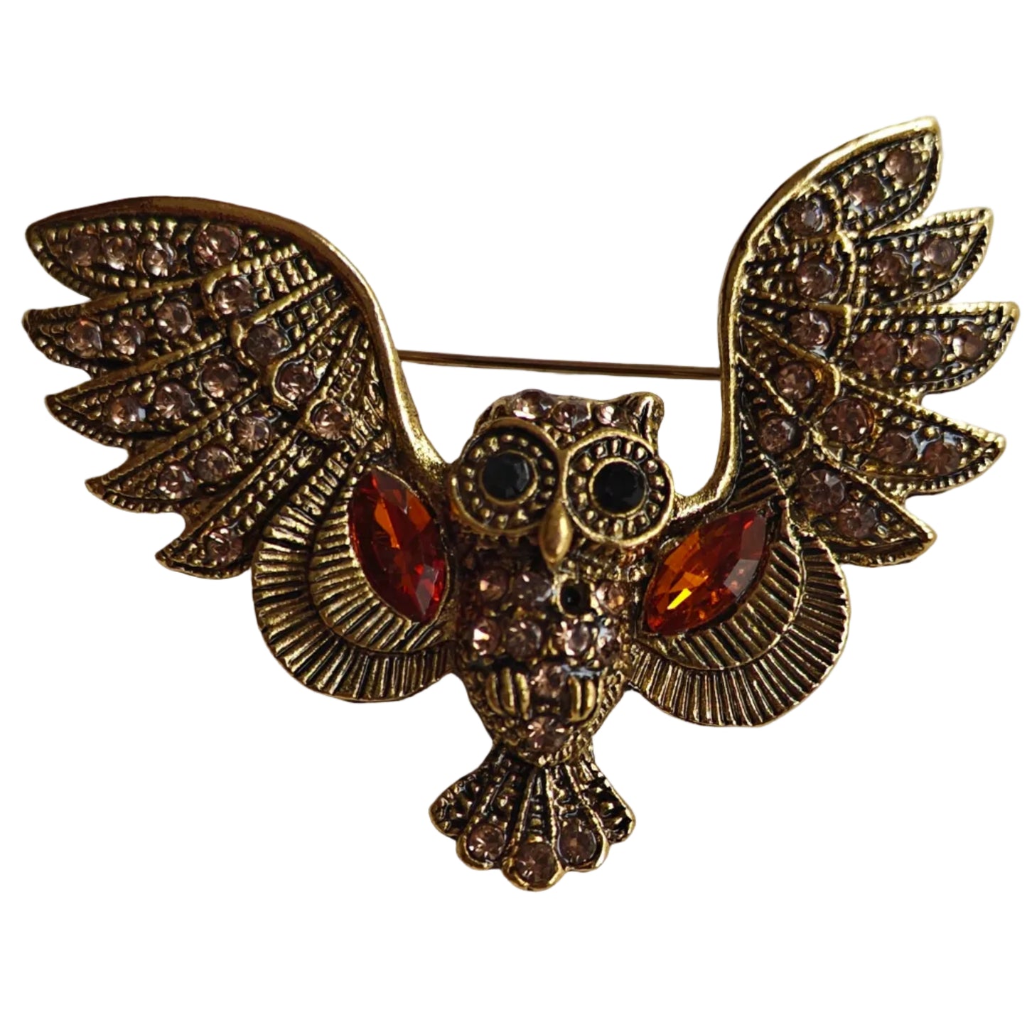 Wise Owl Unisex Brooch