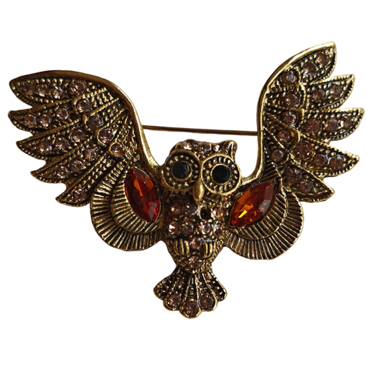 Wise Owl Unisex Brooch